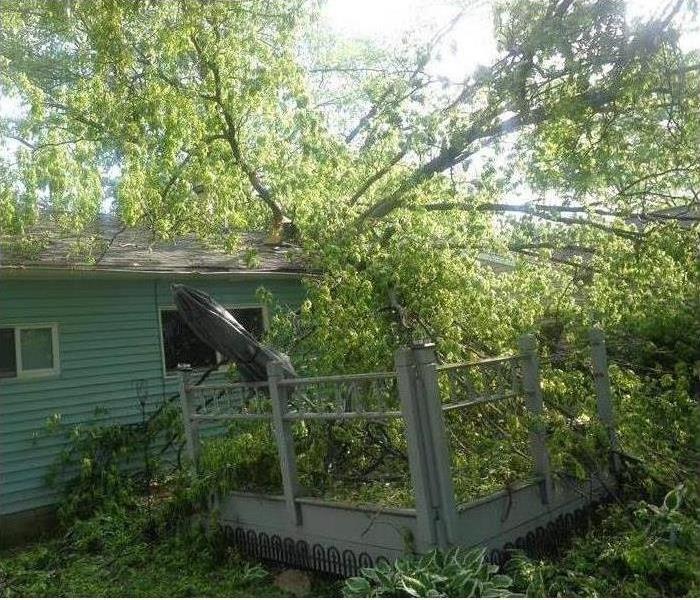 Tree laying on roof after storm