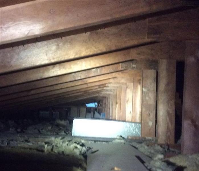 Damage in attic from Raccoon